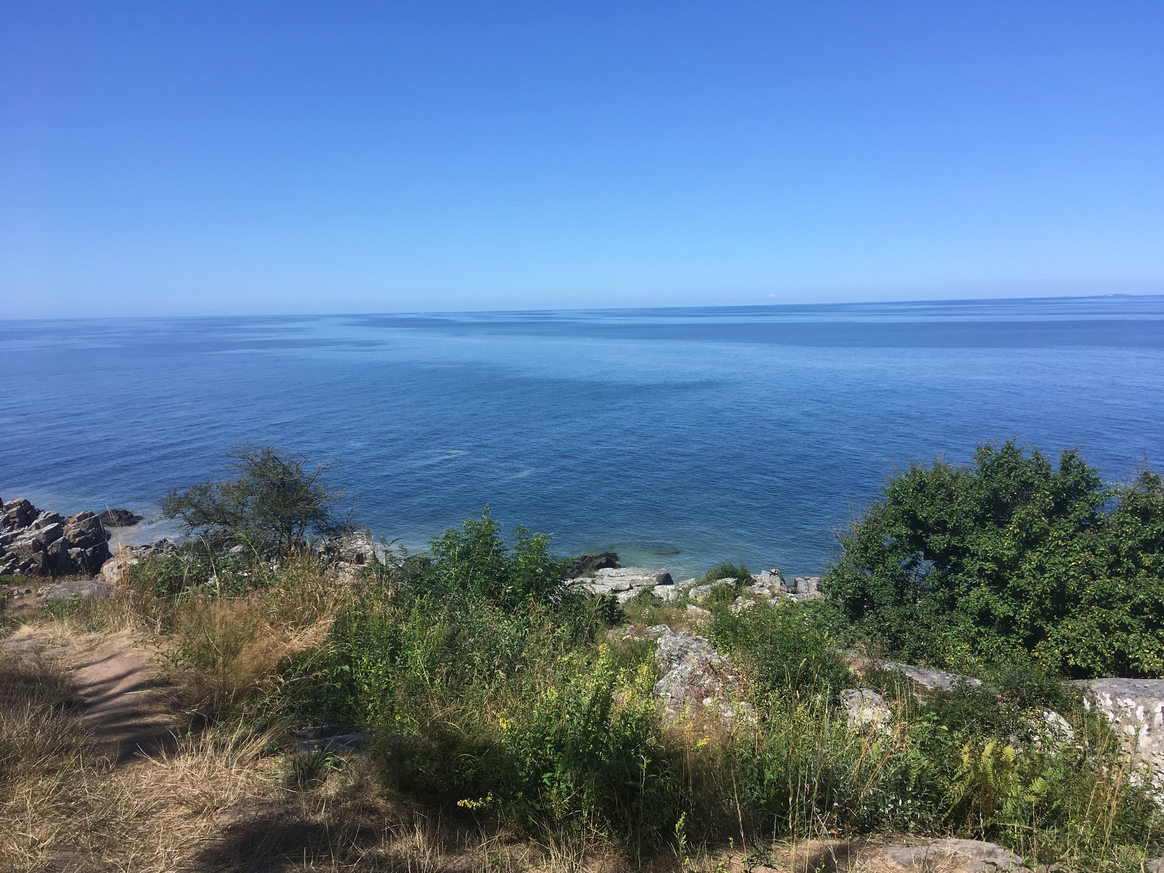 Randkløve skår på Bornholm