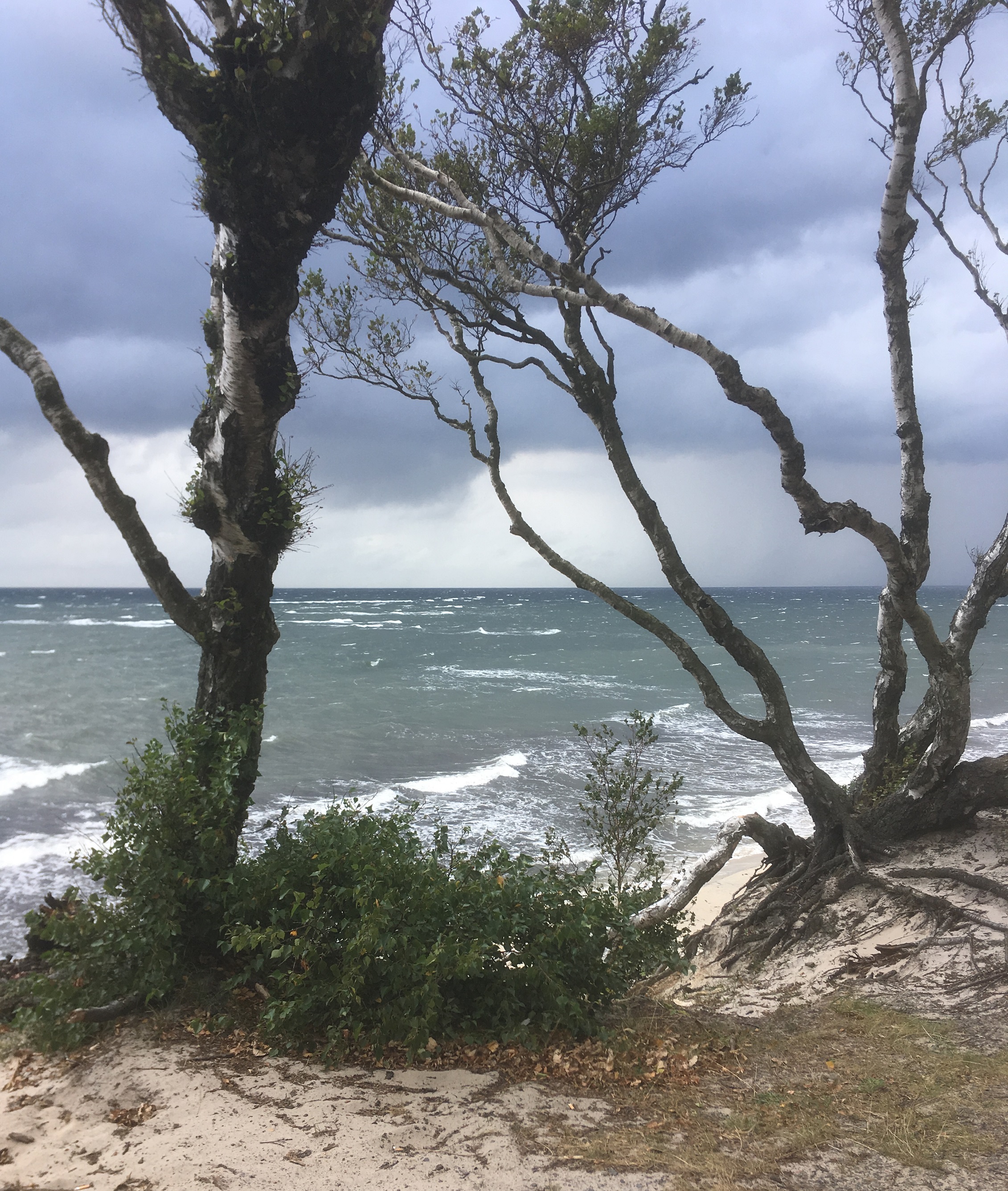 Strandtur i regn og blæst