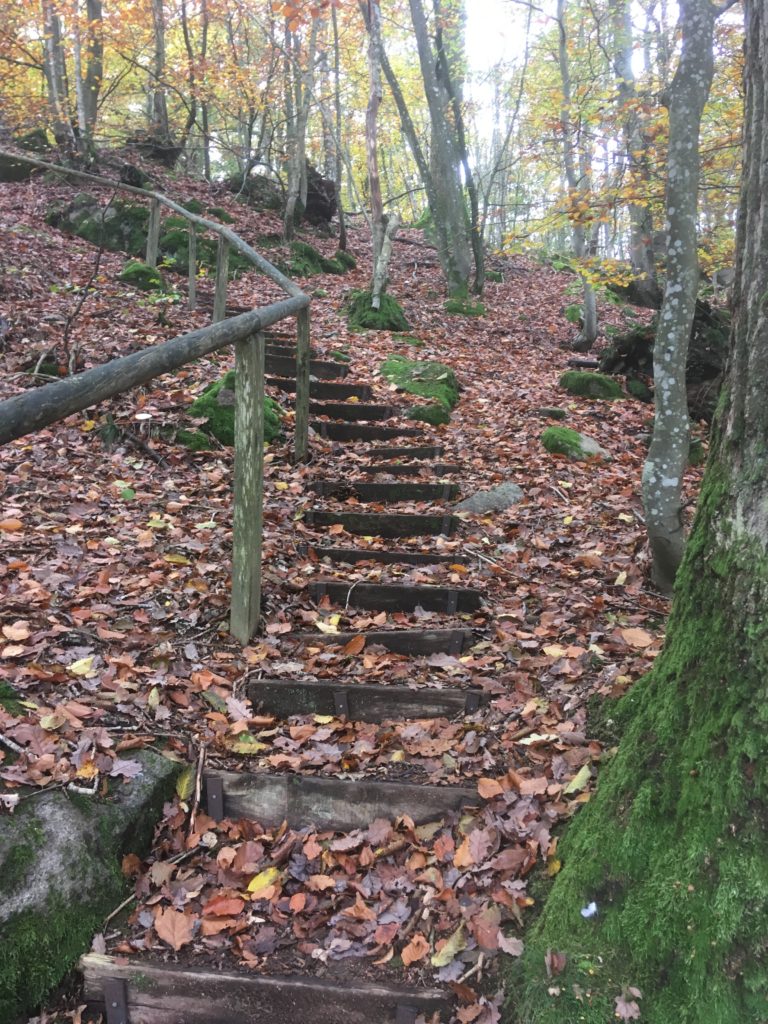 Efterår på Bornholm