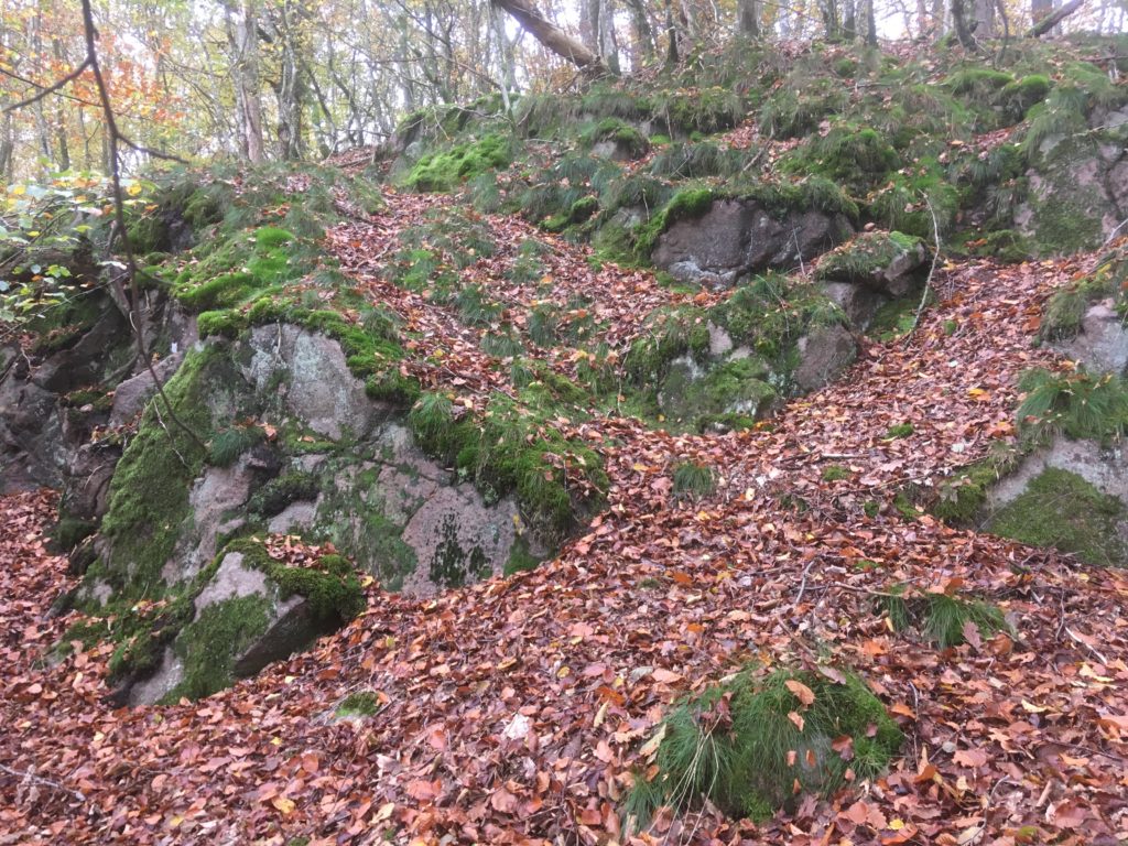 Efterår på Bornholm