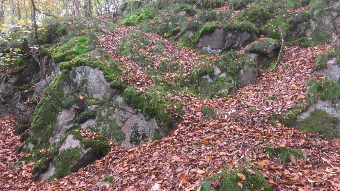 Efterår på Bornholm