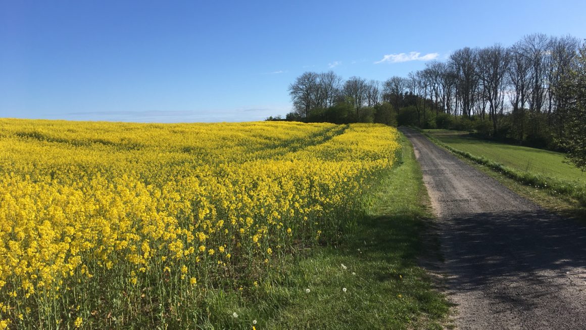 Bare Danmark