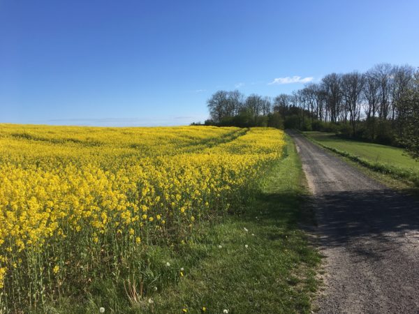 Bare Danmark