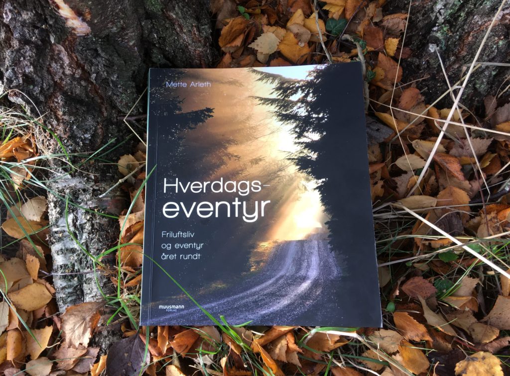 Hverdags-eventyr, en bog af Mette Arleth