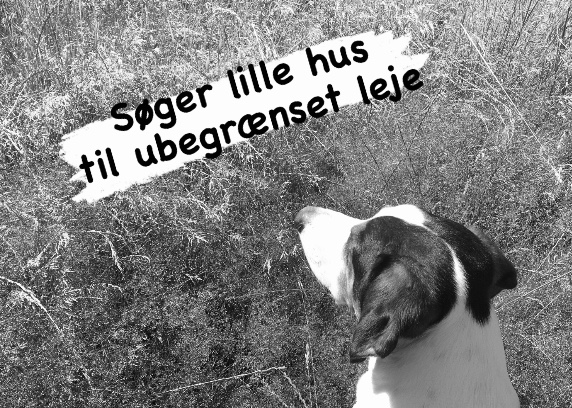 Boligsøgning på Bornholm