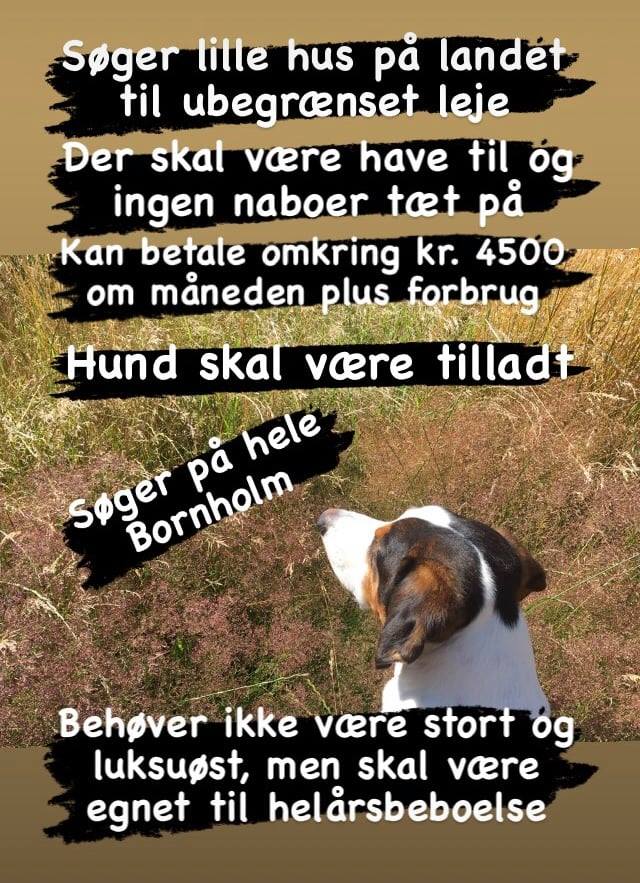 Boligsøgning