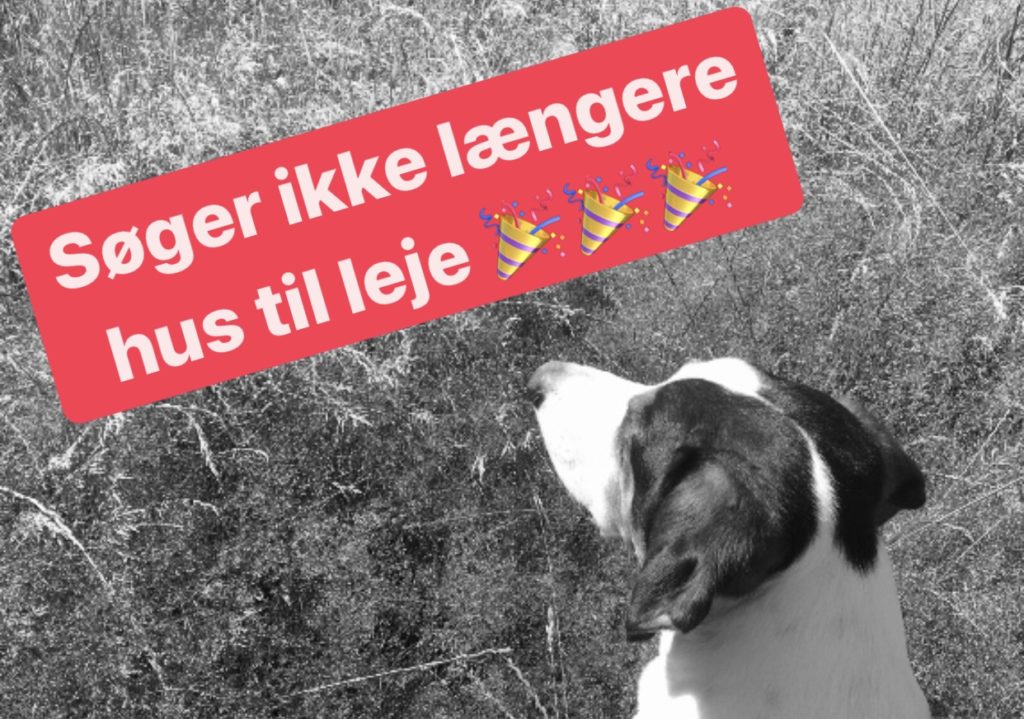 Slut med at lede efter bolig